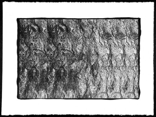 Pascal Bonneau platine-palladium