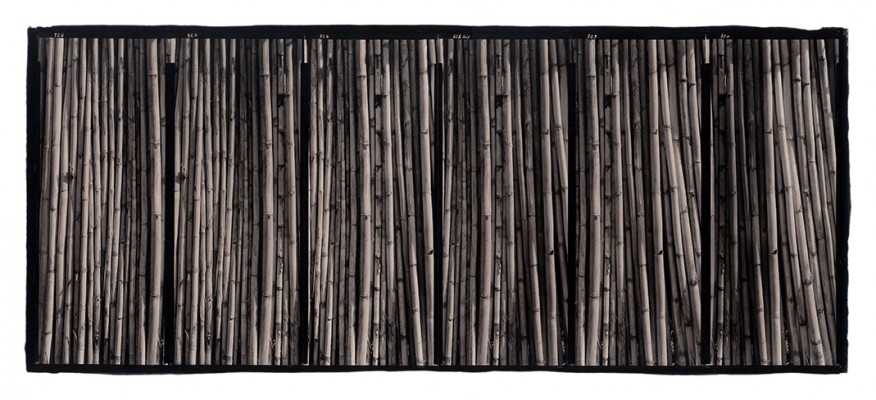 Pascal bonneau Platine Palladium