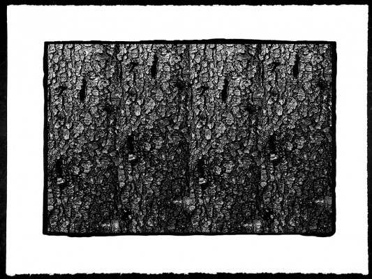 Pascal Bonneau platine-palladium