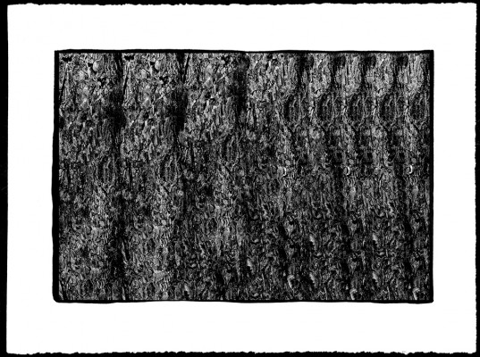Pascal Bonneau platine-palladium