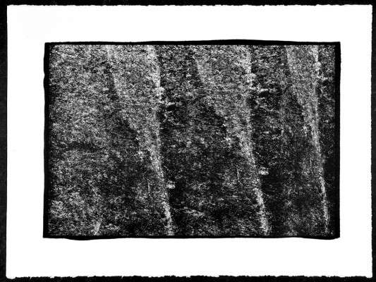Pascal Bonneau platine-palladium
