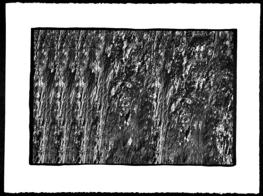 Pascal Bonneau platine-palladium